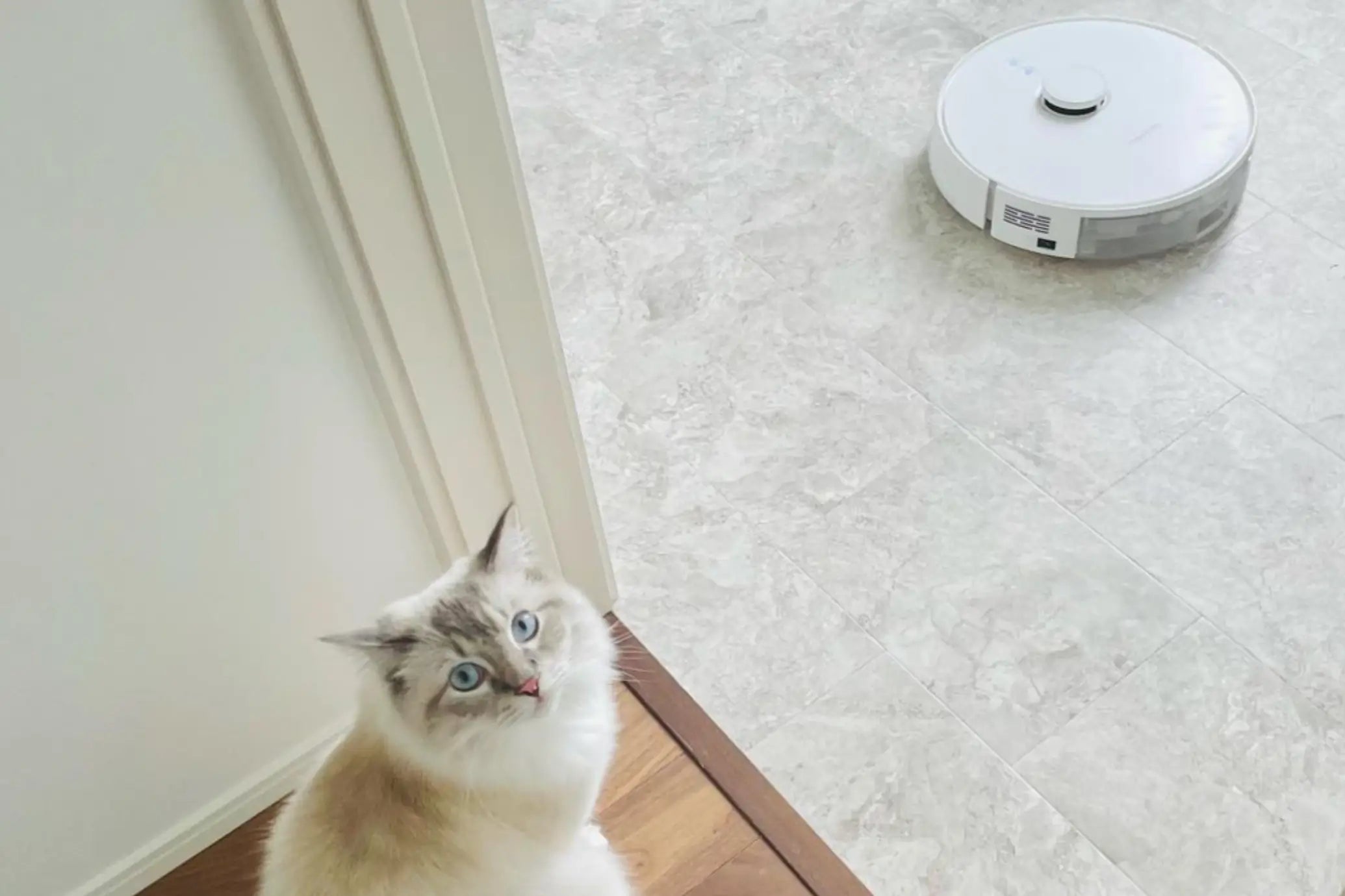 Best Vacuums for Pet Hair in 2024: Top Picks for Pet Owners